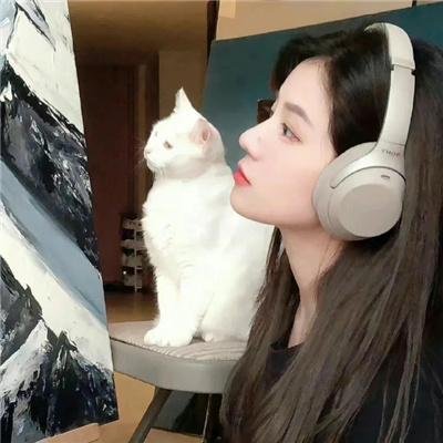 新：绝望的主妇